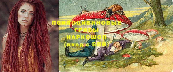 мяу мяу мука Елизово