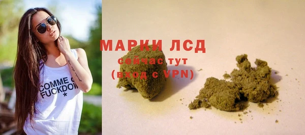 мяу мяу мука Елизово