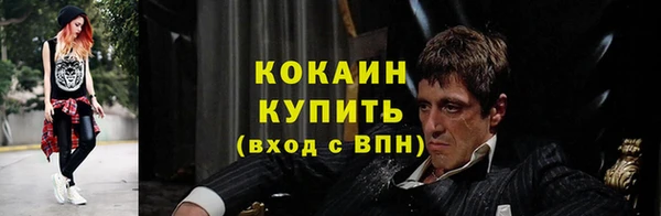 мяу мяу мука Елизово