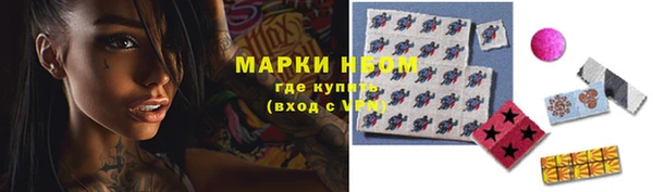 мяу мяу мука Елизово