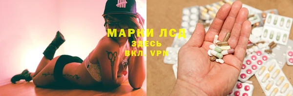 мескалин Ельня